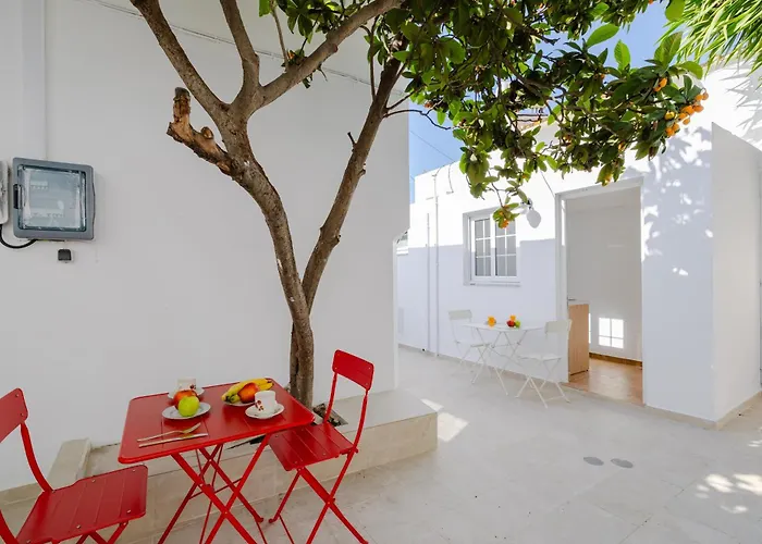 Cleopatra's Backyard